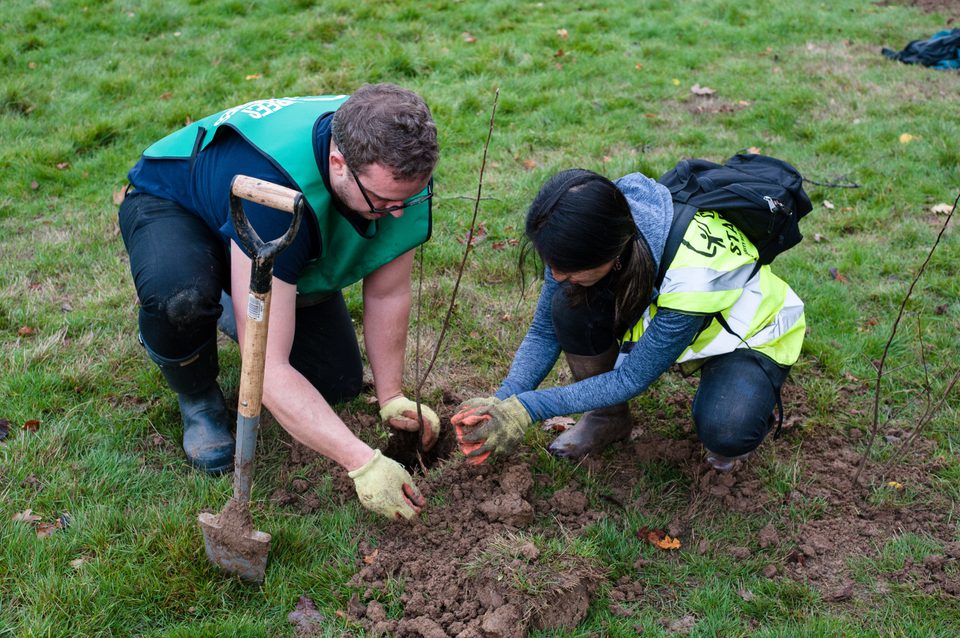 Tree Planting Week National Tree Week 2023 - Celebrating Urban Trees! | Trees for Cities