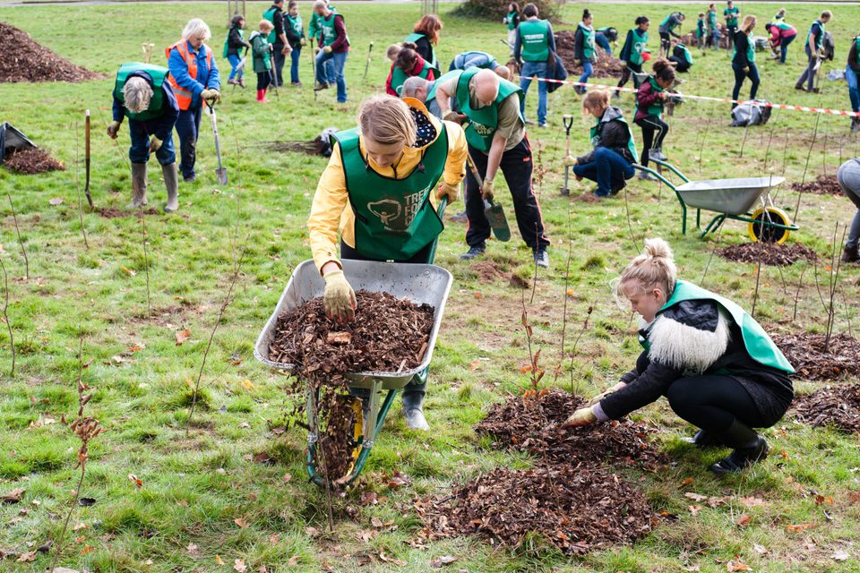 Pro Humane Tree Planting Project Donate | Trees for Cities