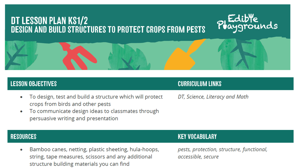 Design Technology Lesson Design and Technology Lesson | Trees for Cities
