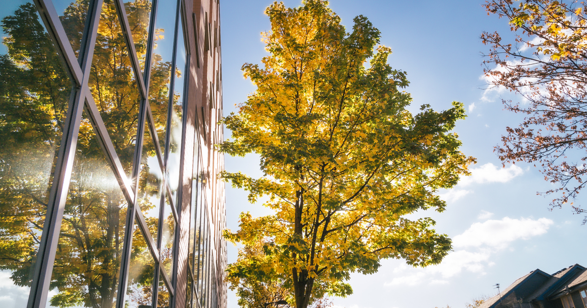 How the UK’s new Tree Equity Score map can be the basis for change ...