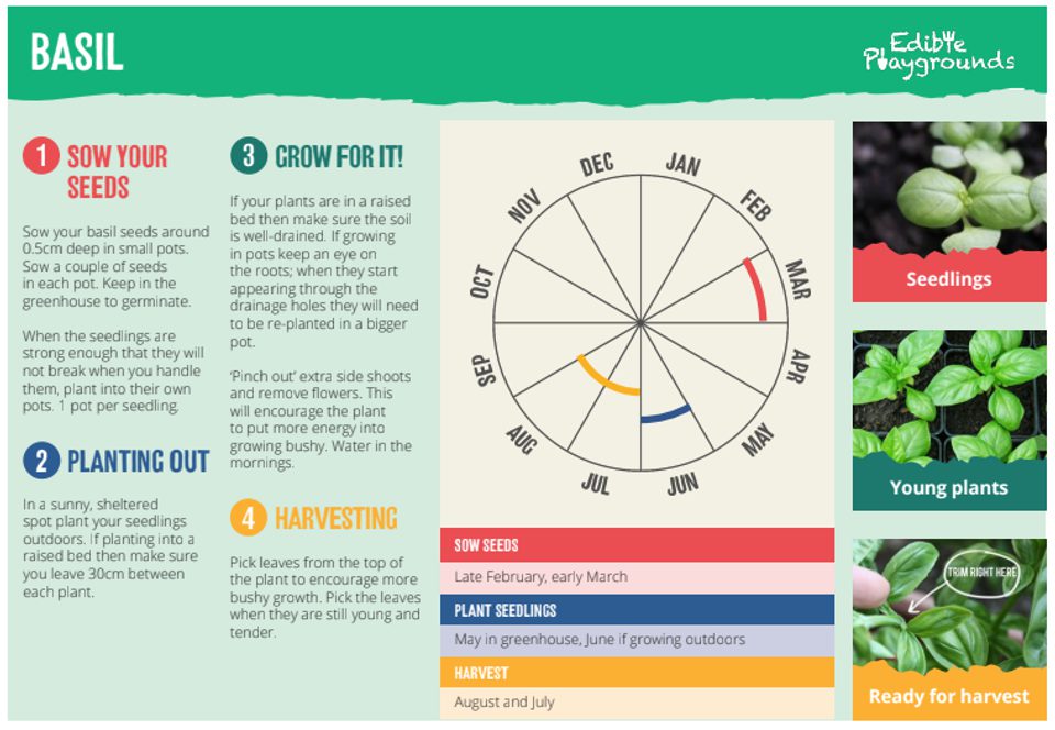 Basil Native Map Basil | Trees for Cities