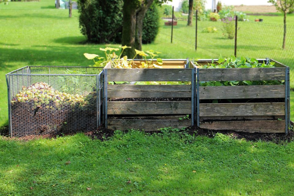 Tree Composting How to start composting | Trees for Cities