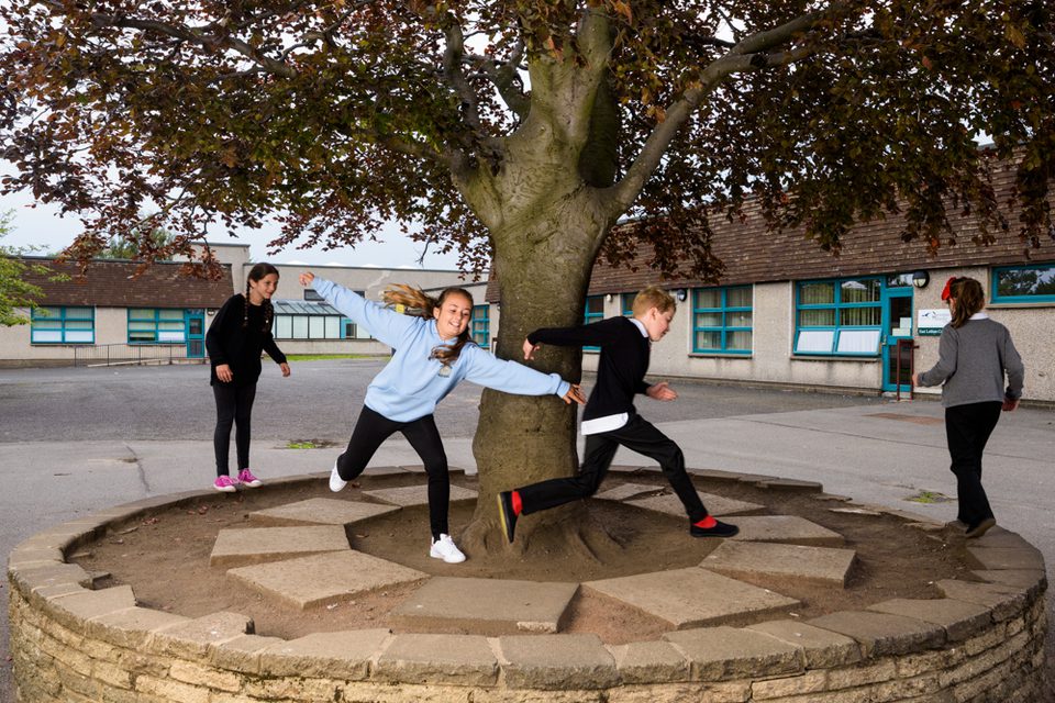 Tree In The School Trees for Schools - Inspire the next generation! | Trees for Cities