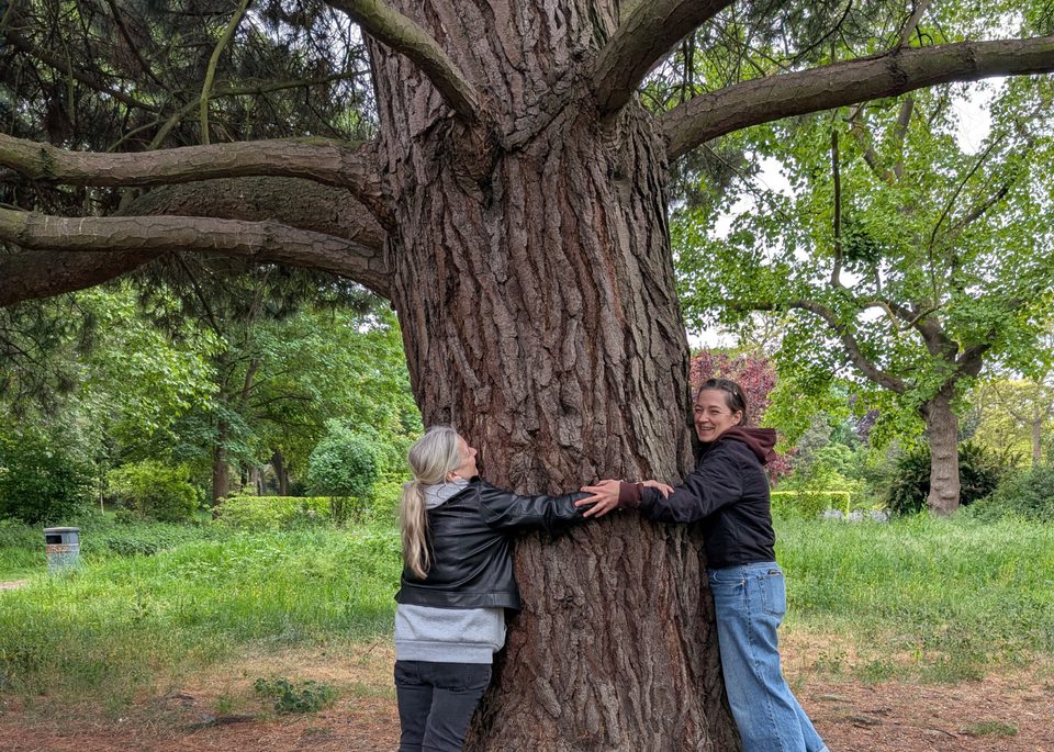 Tree Inclusion Trees for Cities is championing inclusive climate action | Trees for Cities