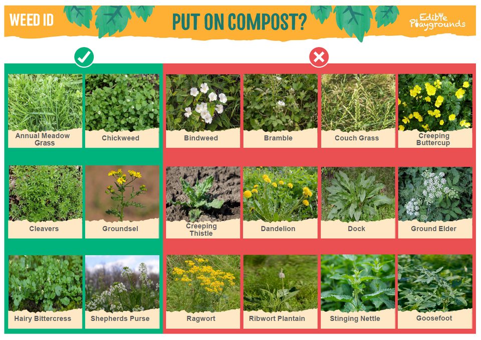 Weed Color Code Id Weed ID poster | Trees for Cities